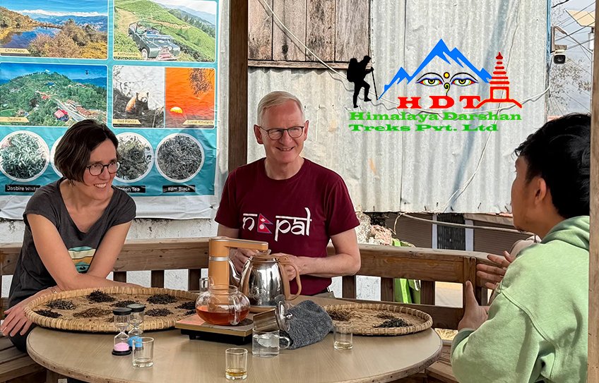 Ilam Tour, Tea tasting, Jasbire tea