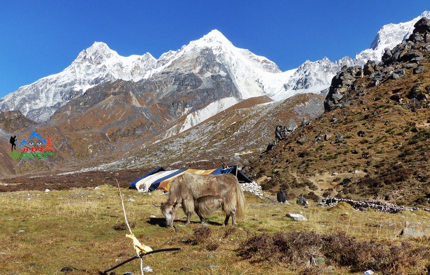 Kanchenjunga Base Camp Trek, 20 Days Package, KBC Trek, Fixed Departure