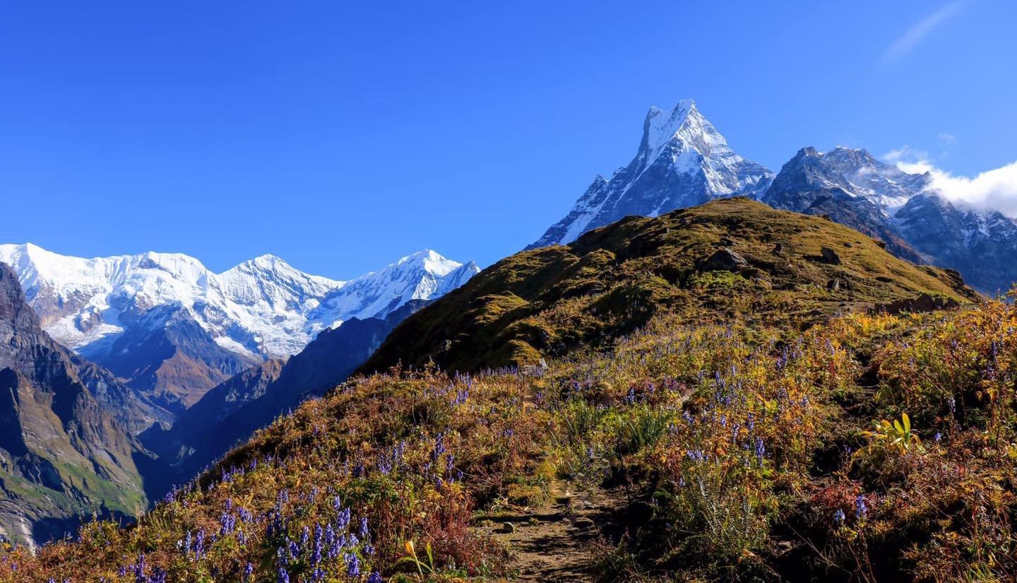 Mardi Himal Tea House Trek, Cost, Itinerary