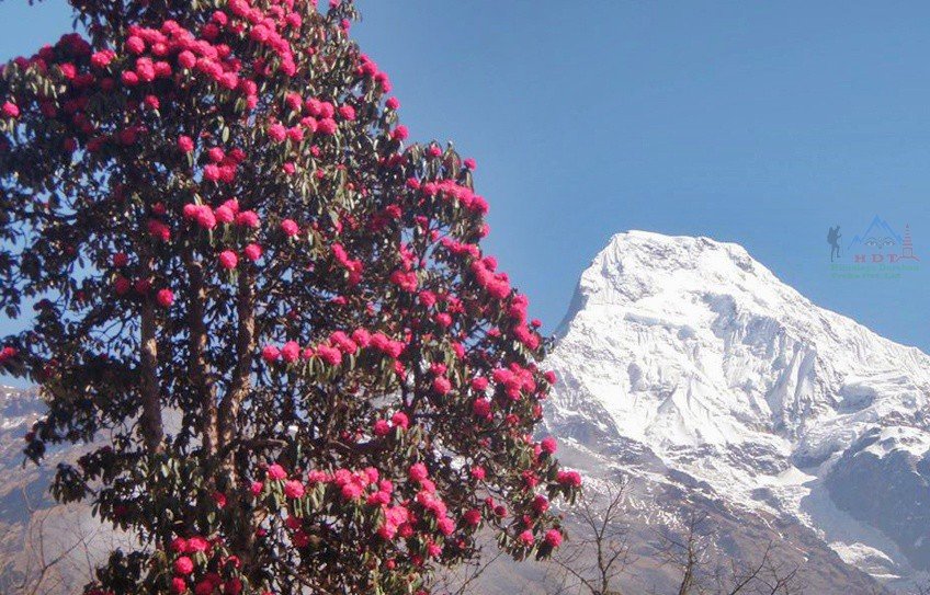 Mulde Hill Trek, Annapurna Mulde Hill Trek