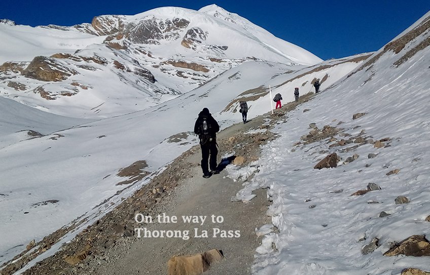 Annapurna Circuit Trek, Ghorepani PoonHill Trek, Tatopani, hot spring