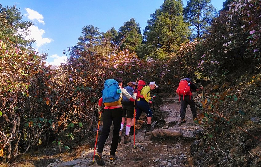 Langtang Gosaikunda Trek 2026,