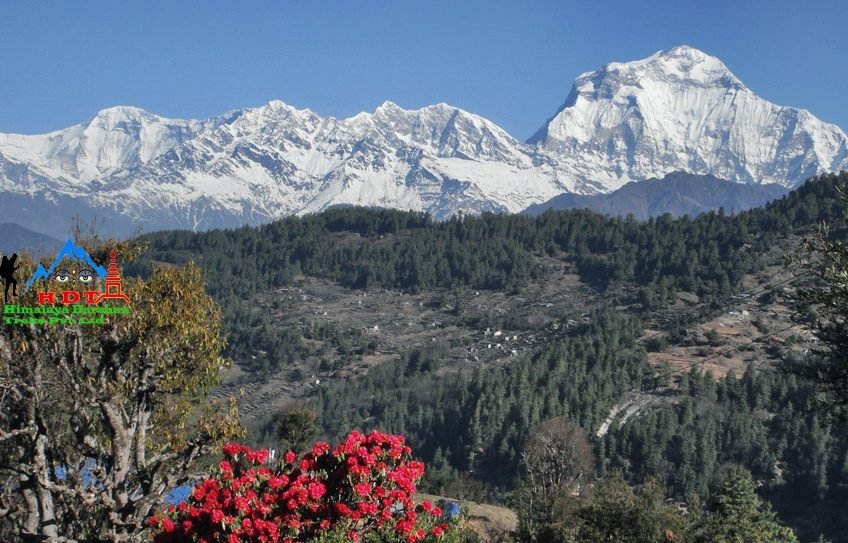 Mohare Danda Trekking, Mohare Danda Trek Itinerary