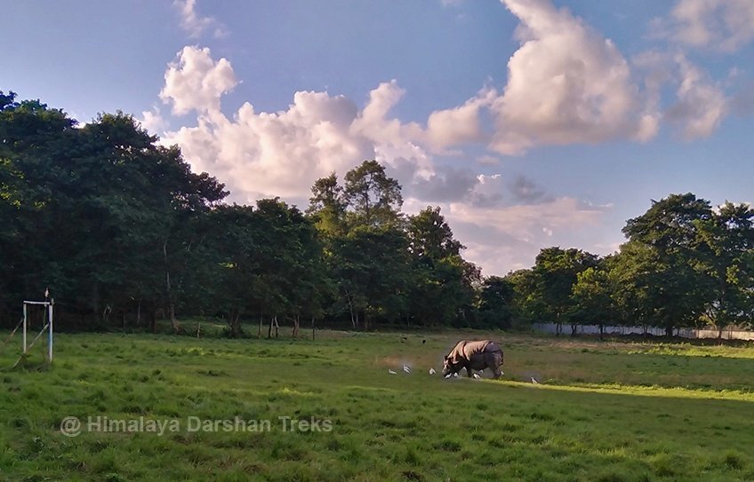 Chitwan tour, Wildlife safari, christmas tour
