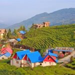 Ilam Honeymoon tour Package, A Romantic Getaway to Nepal's Queen of Hills.