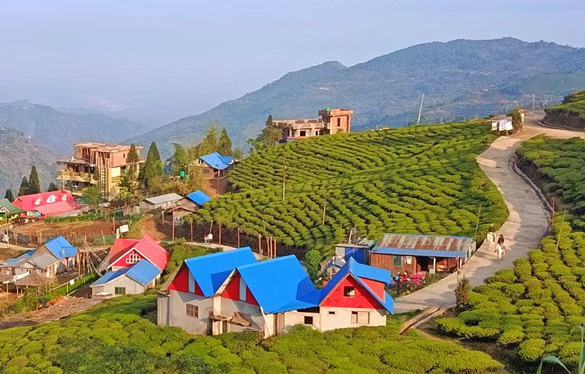 Ilam Honeymoon tour Package, A Romantic Getaway to Nepal's Queen of Hills.
