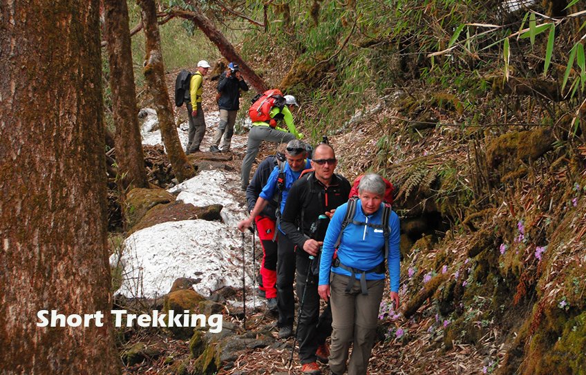 Short Trekking